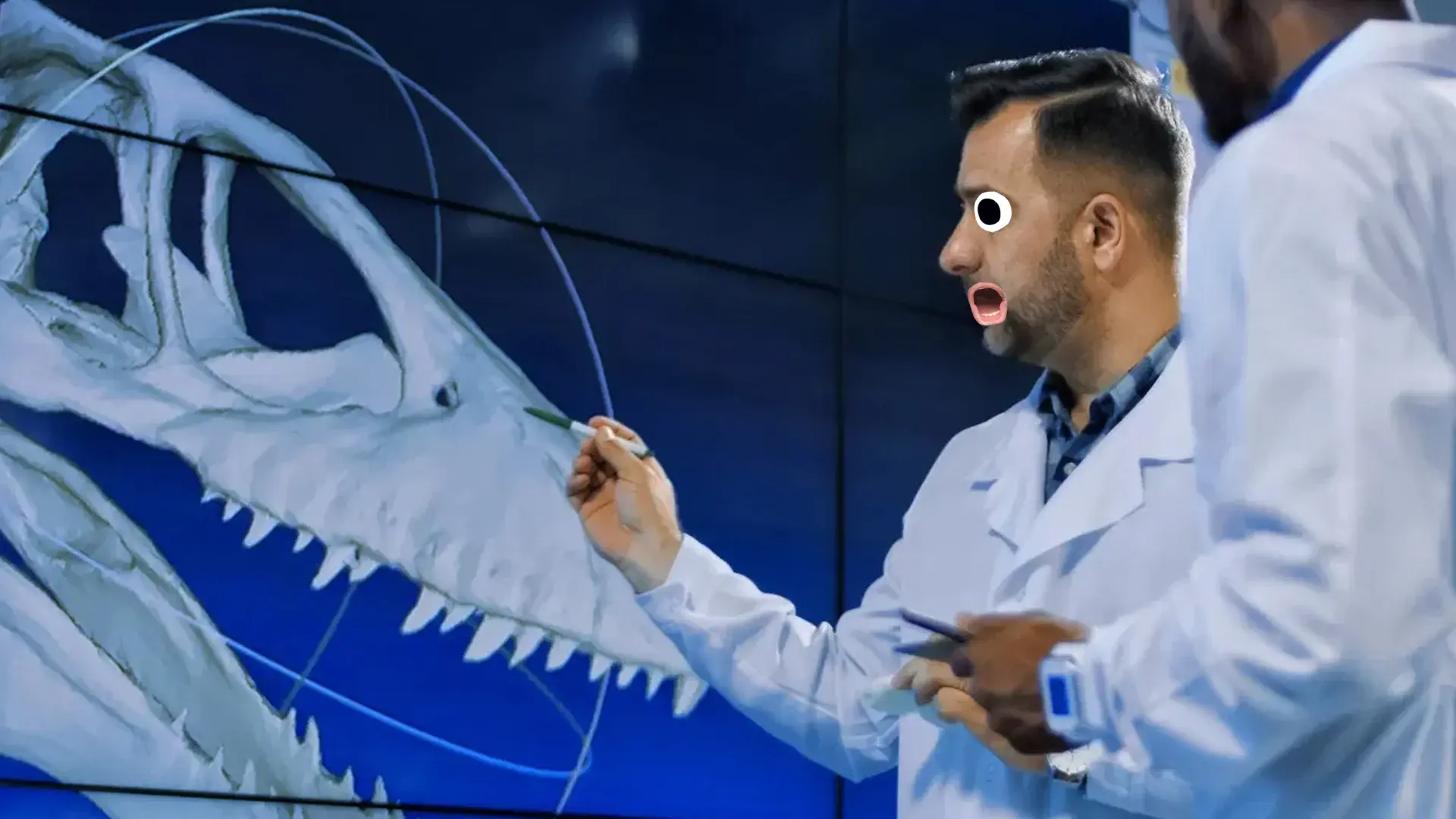 dinosaur-bones